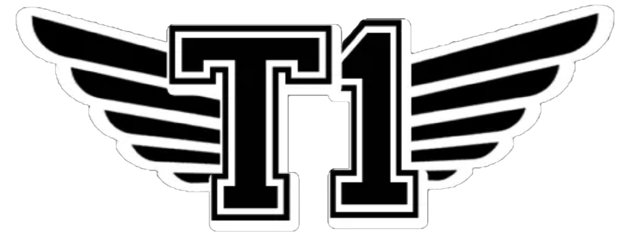 5. T1